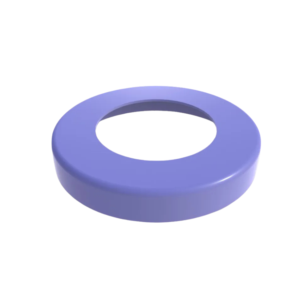 Dust Cap Seals (1)